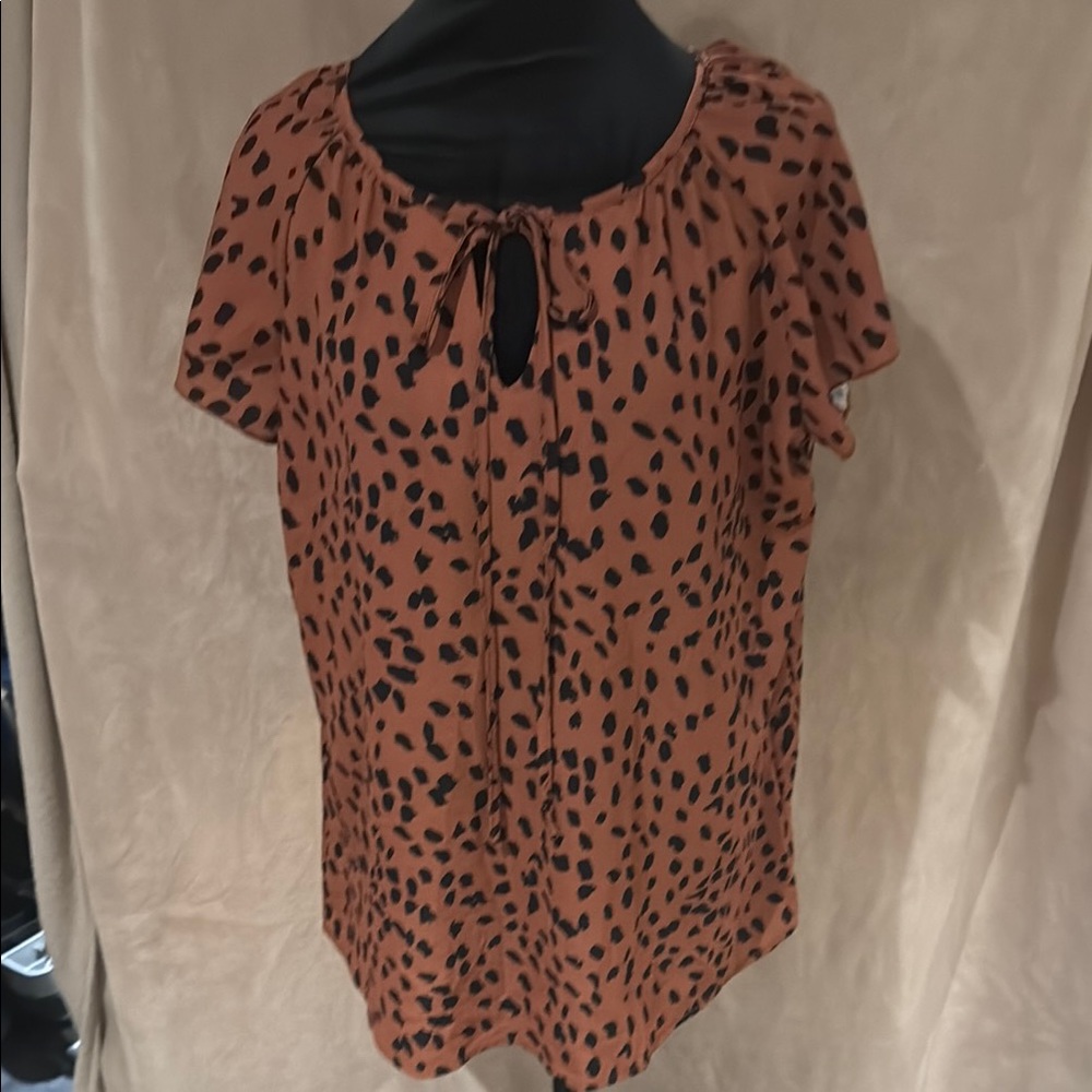Brown and Orange Flutter Sleeve Blouse with Tie Front